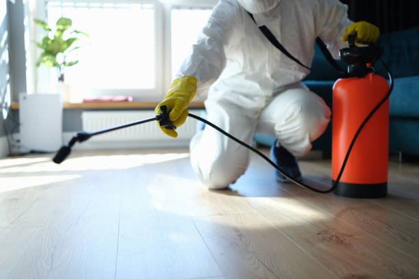 Pest Prevention Services in Hico, TX