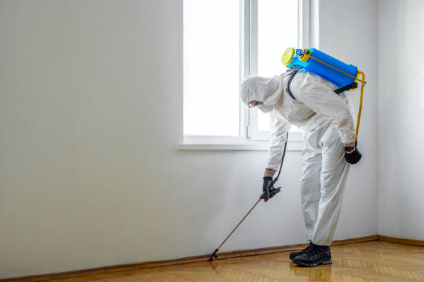Best Pest Control Cost  in Hico, TX